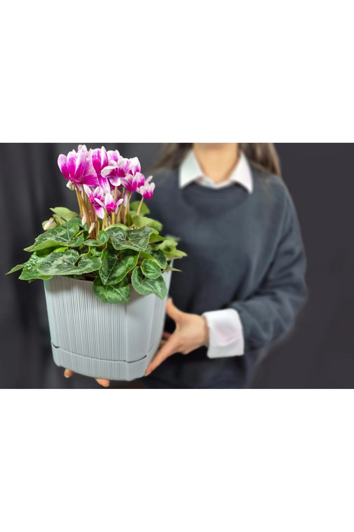 Karezar Seti Şekilli Dekoratif Plastik Saksı, Gri Renk (4.8 Litre) Karezar Seti Şekilli Dekoratif Plastik Saksı, Gri Renk (4.8 Litre)