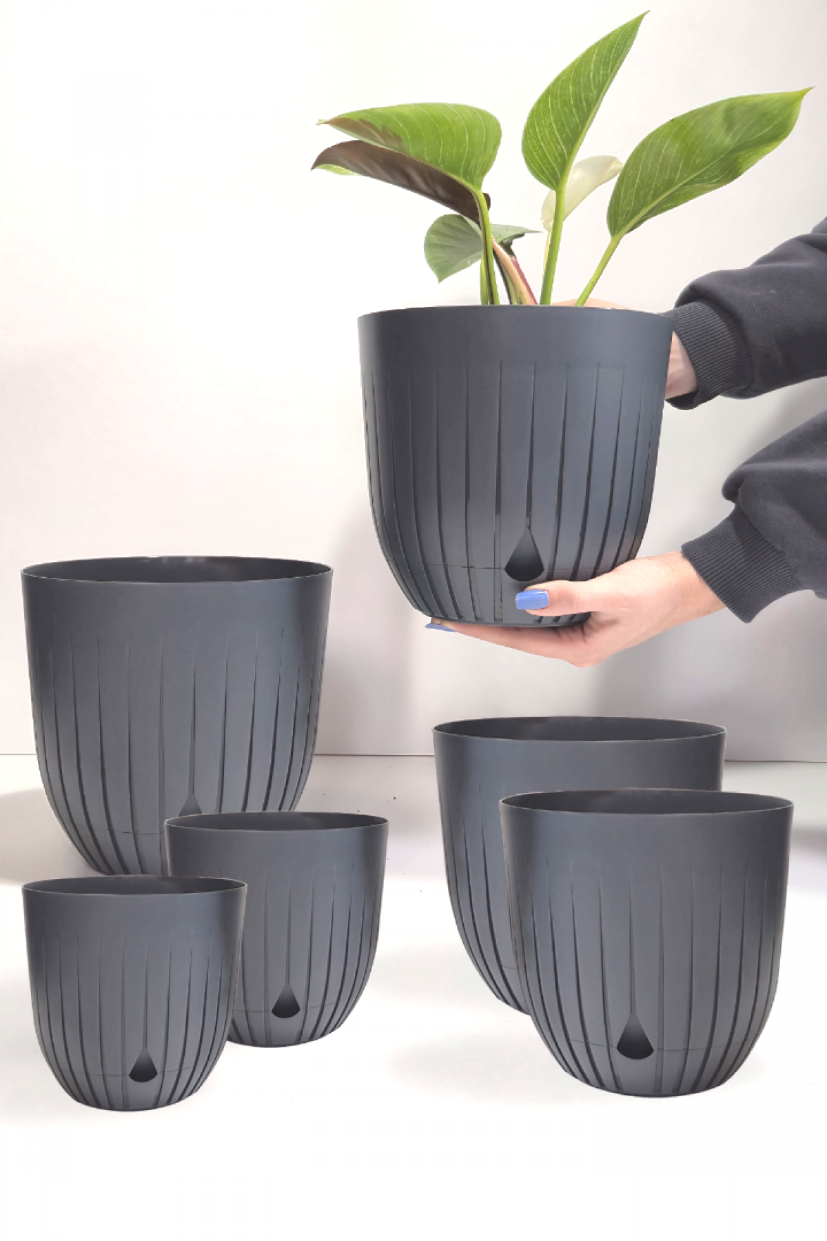 6 Adet Dekoratif Plastik Saksı Seti (2x 5 Litre, 2x 2.2 Litre, 2x 1.1 Litre), Antrasit Rengi 6 Adet Dekoratif Plastik Saksı Seti (2x 5 Litre, 2x 2.2 Litre, 2x 1.1 Litre), Antrasit Rengi