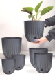 6 Adet Dekoratif Plastik Saksı Seti (2x 5 Litre, 2x 2.2 Litre, 2x 1.1 Litre), Antrasit Rengi 6 Adet Dekoratif Plastik Saksı Seti (2x 5 Litre, 2x 2.2 Litre, 2x 1.1 Litre), Antrasit Rengi