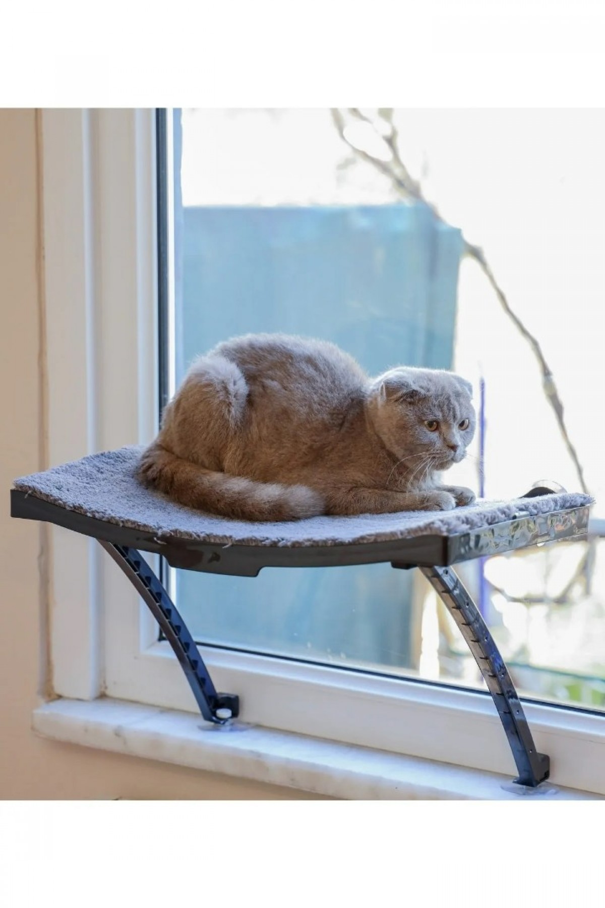 Plastik Kedi Yatağı Ayakları