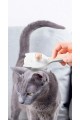 Kedi Köpek Otomatik Temizlenen Tuşlu Tüy Toplayıcı Tarak