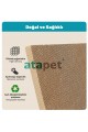 Karton Kedi Tırmalama ve Dinlenme Evi 