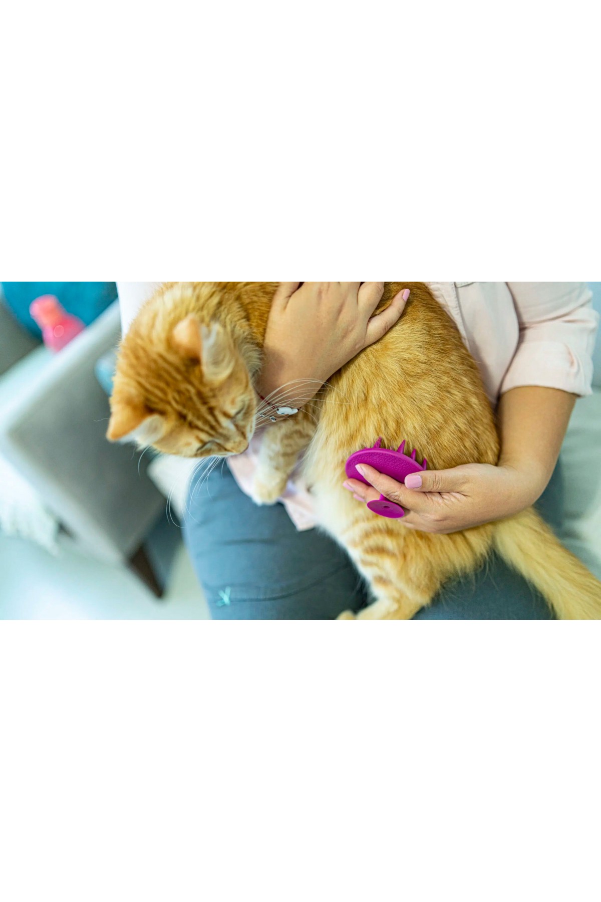 Yumuşak Silikon Uçlu Kedi Köpek Kaşıma Yıkama Fırçası Tarağı Vantuzlu Pembe