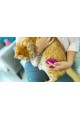 Yumuşak Silikon Uçlu Kedi Köpek Kaşıma Yıkama Fırçası Tarağı Vantuzlu Pembe