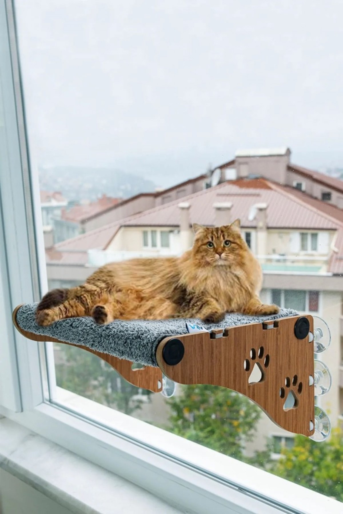 Ahşap Cama Yapışan Kedi Yatağı Vantuzlu Cam Yatağı Terası