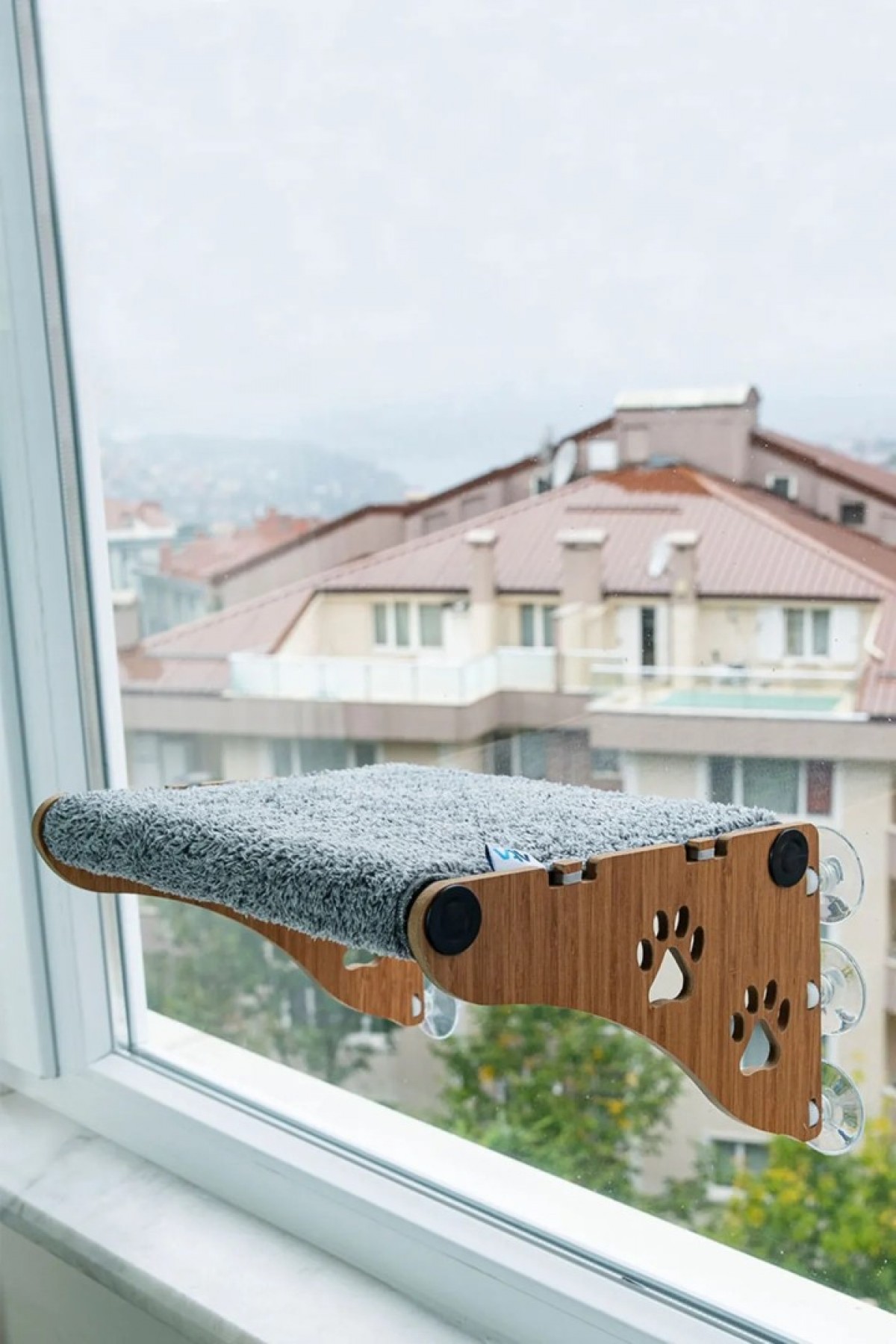 Ahşap Cama Yapışan Kedi Yatağı Vantuzlu Cam Yatağı Terası