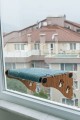 Ahşap Cama Yapışan Kedi Yatağı Vantuzlu Cam Yatağı Terası Yeşil Ahşap Cama Yapışan Kedi Yatağı Vantuzlu Cam Yatağı Terası Yeşil