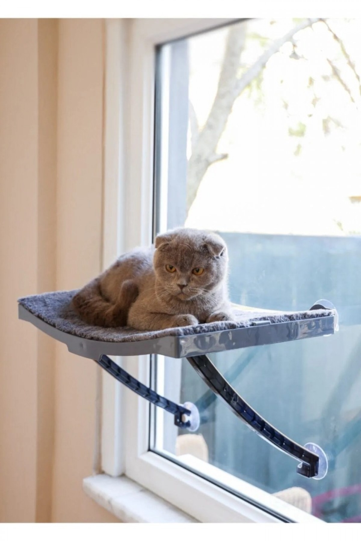 Yeni Model Cam Ve Duvar Için Kedi Yatağı Vantuzlu Yeni Model Cam Ve Duvar Için Kedi Yatağı Vantuzlu