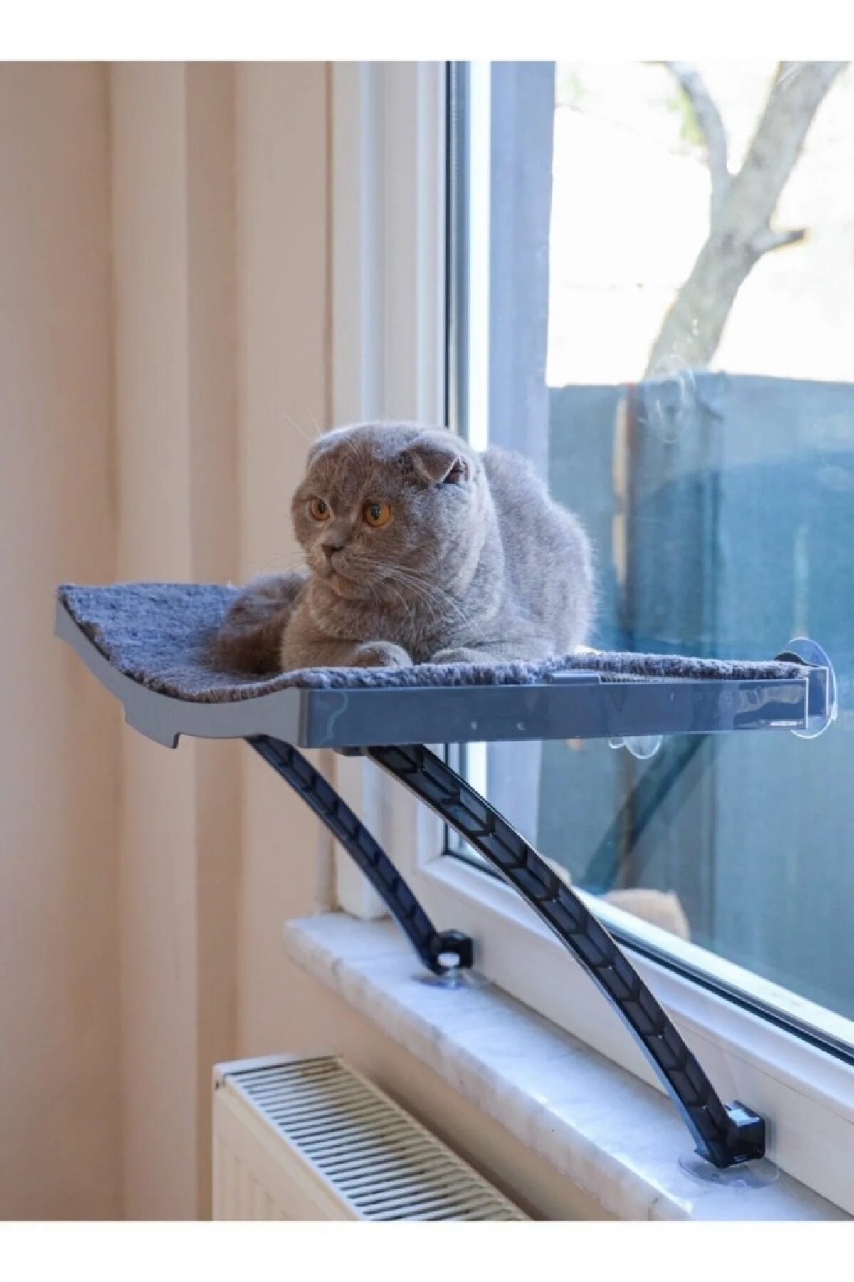 Yeni Model Cam Ve Duvar Için Kedi Yatağı Vantuzlu Yeni Model Cam Ve Duvar Için Kedi Yatağı Vantuzlu